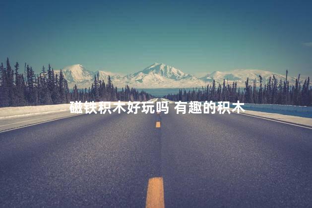 磁铁积木好玩吗 有趣的积木